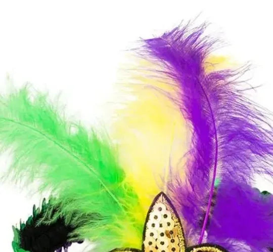 Mardi Gras Fleur De Lis Feather Sequin Headband